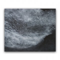 natural revelationーs@wp